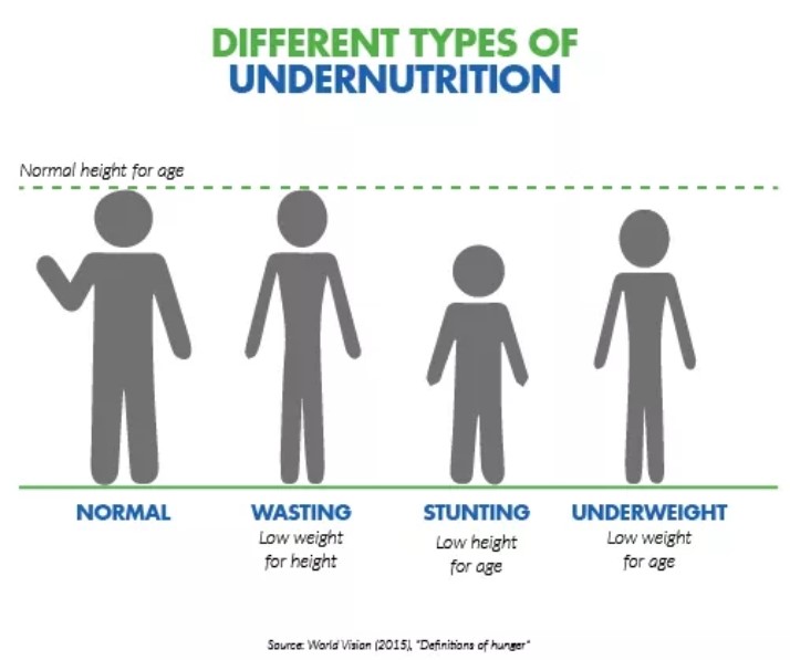 Different Types Of Under Nutrition